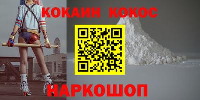 крисы Гатчина