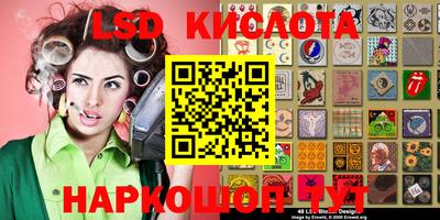 крисы Гатчина