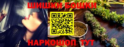 крисы Гатчина