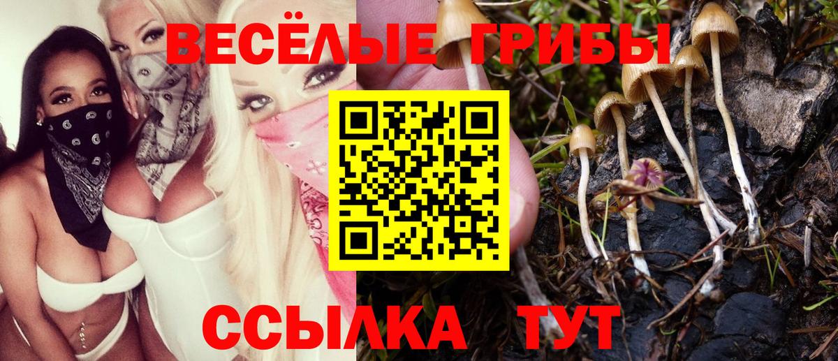Галлюциногенные грибы мицелий  Вход с VPN  Мытищи  Псилоцибиновые грибы Psilocybine cubensis 